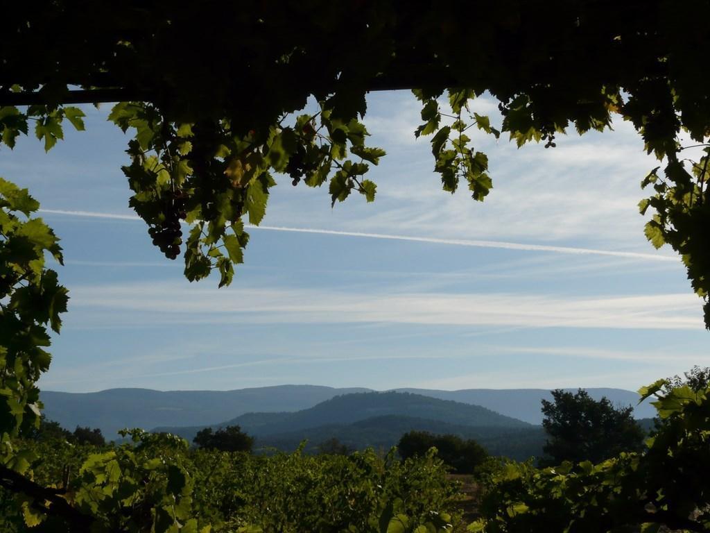 Lou Amourie Roussillon en Isere Exteriör bild